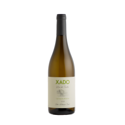 VINO XADO BLANCO TERUEL